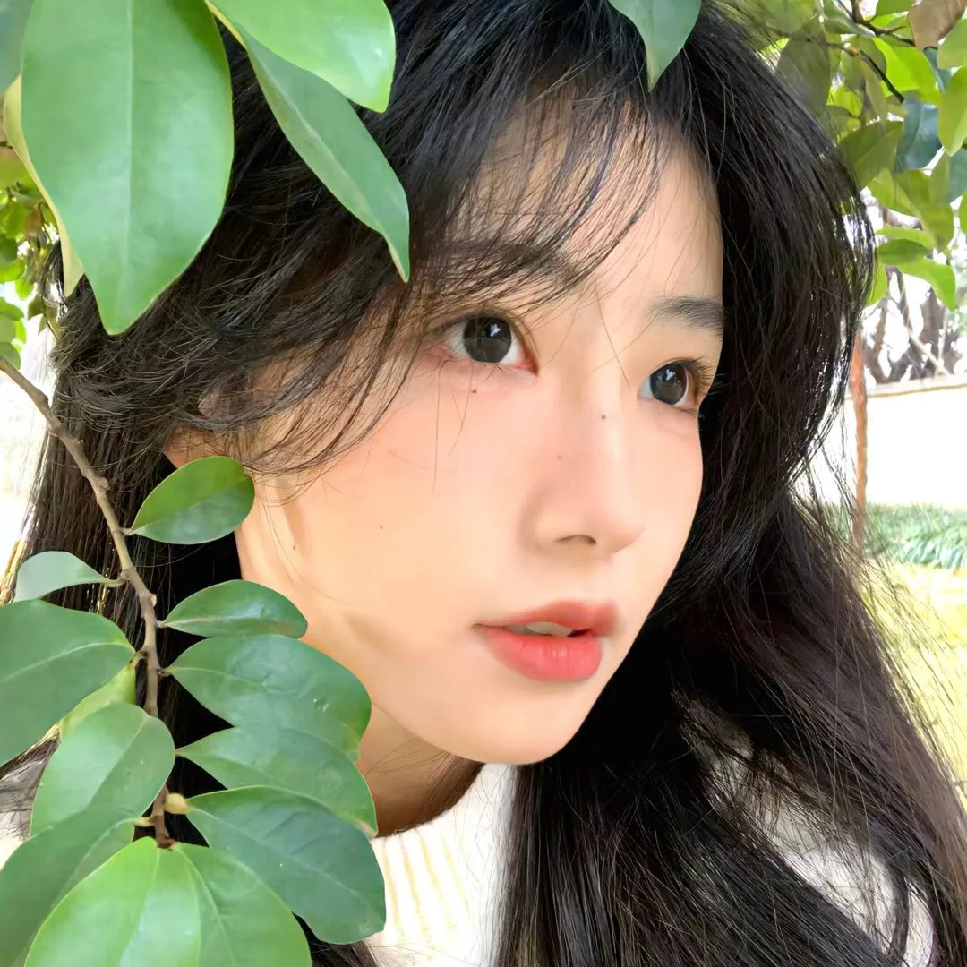 系列大片